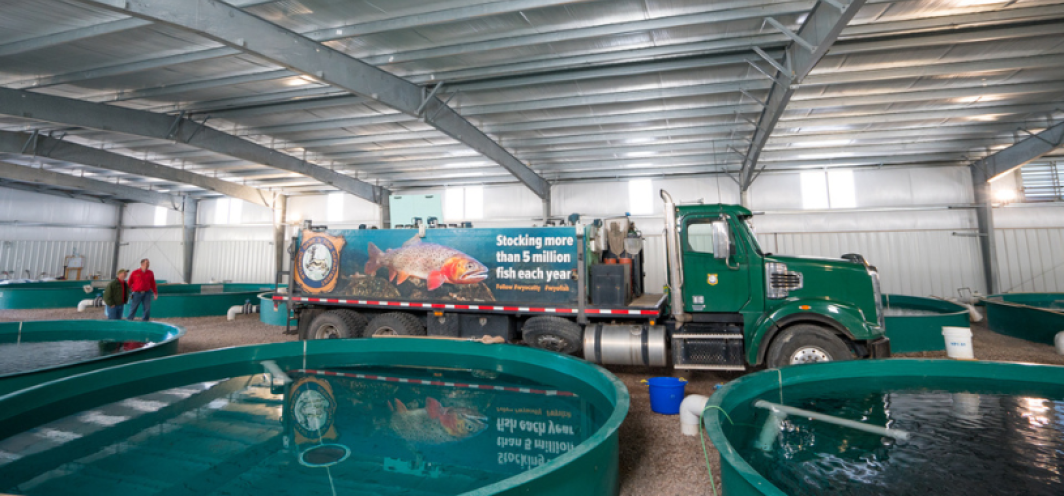 A fish distribution truck in between circular tanks used for raising fish in production building #1 at Dan Speas Fish Hatchery