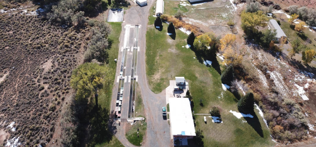 An aerial photo of Tillett Springs Rearing Station