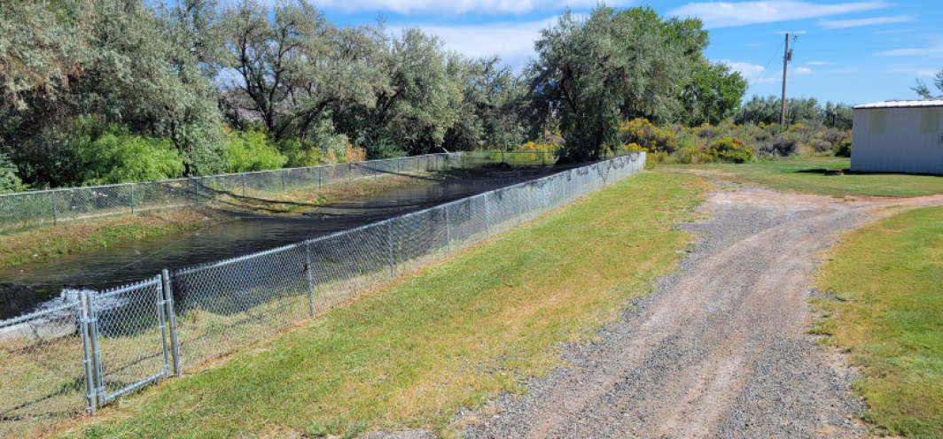 The rubber-lined brood pond at Tillett Springs Rearing Station behind a chain link fence.
