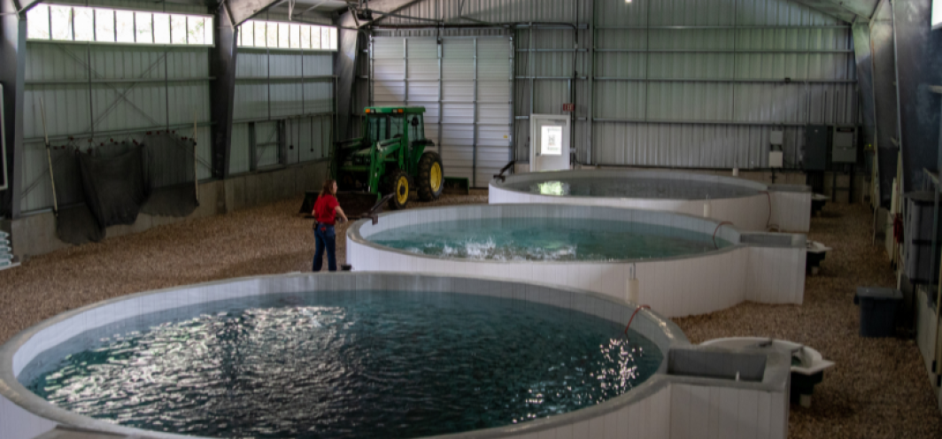 Dual-drain circular tanks at Ten Sleep Fish Hatchery used for raising fish.