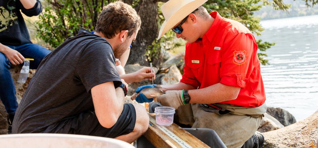 Game and Fish employee teaches participant how to take fish flesh samples