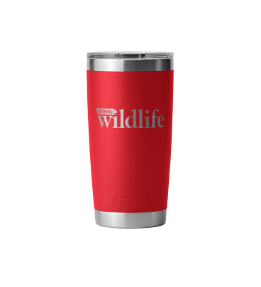 Red 20oz Yeti Cup