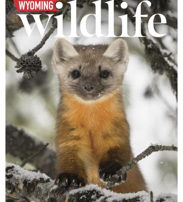 March 2026 Magazine Cover