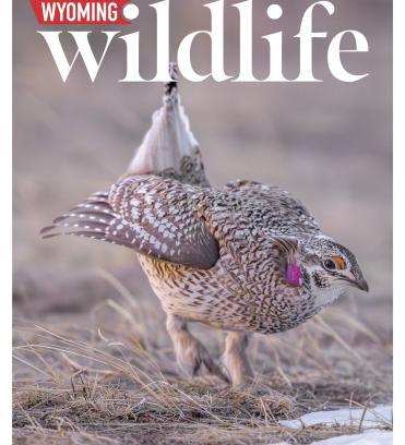 April Magazine Cover