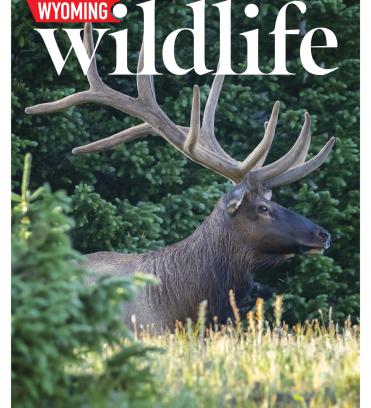 Wyoming Wildlife Magazine August 2026