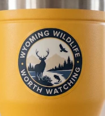Worth Watching Vinyl Sticker