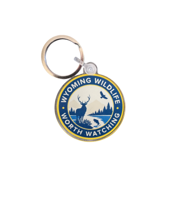 Worth Watching Keychain