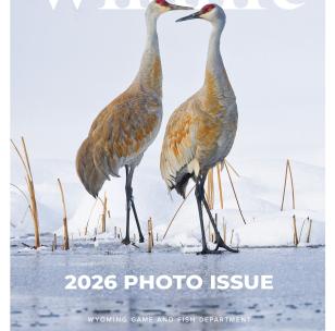 February 2026 Magazine Cover