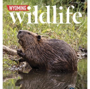 Wyoming Wildlife Magazine October 2026 Issue