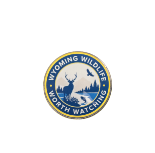 Worth Watching Magnet