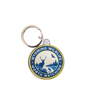 Worth Watching Keychain