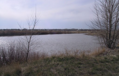 A pond with trees around the bank