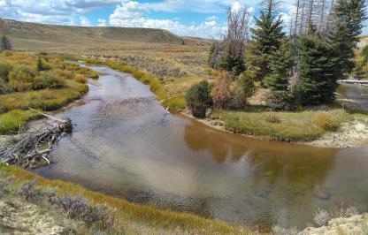 Riparian area, stream in Big Sandy