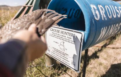 sage grouse wing deposit barrel 