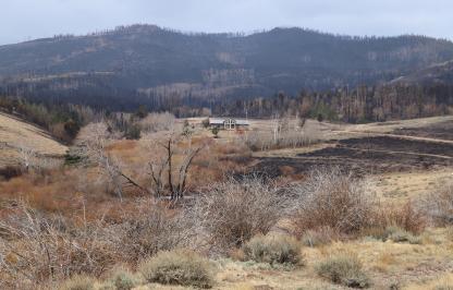 A landscape shot of the Terry Creek Ranch