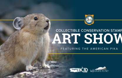 2026 Stamp art show graphic featuring the American pika