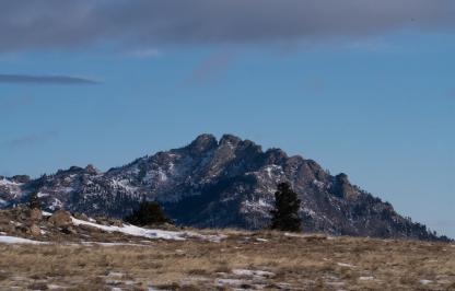 Laramie Peak WHMA