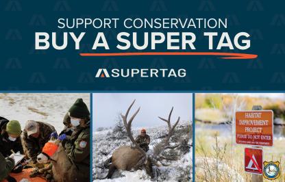 Support conservation — Buy a Super Tag