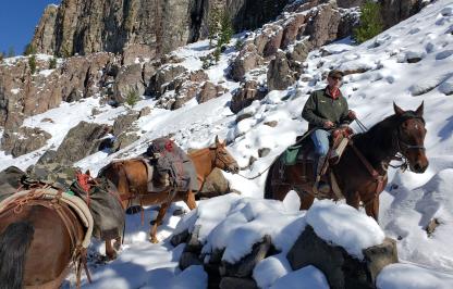 Grant Gerharter leads a pack sting up a snowy trail. 