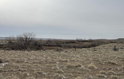 Image of habitat at Sand Mesa Wildlife Habitat Management Area