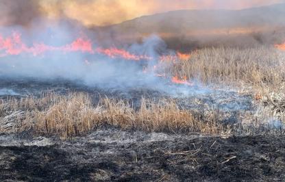 A prescribed burn on Yellowtail WHMA 