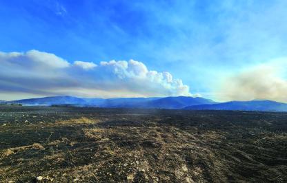 The Elk Fire, which was one of two large fires that burned in northeast Wyoming in 2024.