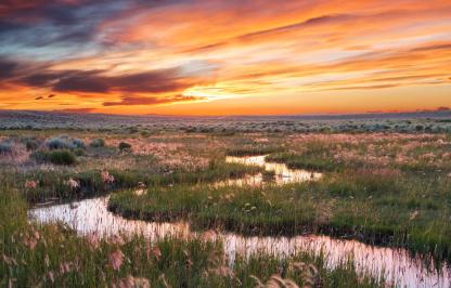 Sunset over riparian area near Eden, WY