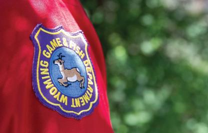 Closeup of Game and Fish shield on sleeve