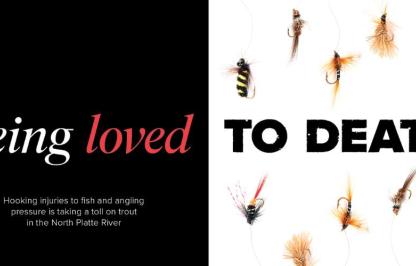 The opening spread for a magazine article with the text "Being Loved" on a black background and  "to Death" on a white background featuring dry flies