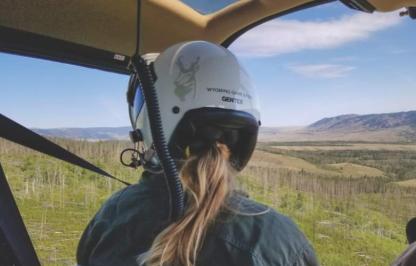 A biologist looks out of a helicopter cockpit at the forested landscape below