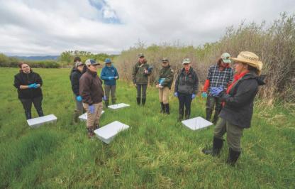 Wendy Estes-Zumpf, right, Wyoming Game and Fish Department herpetological coordinator, provides instructions to participants on a Wyoming Toad release day.
