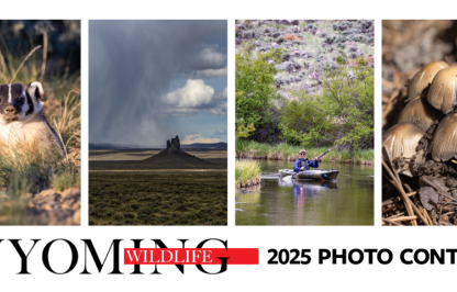 2025 photo contest graphic 2025 photo contest graphic