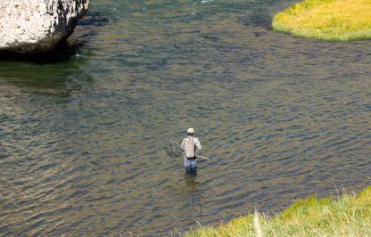 Fly fisherman