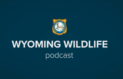 Wyoming Wildlife Podcast Thumbnail