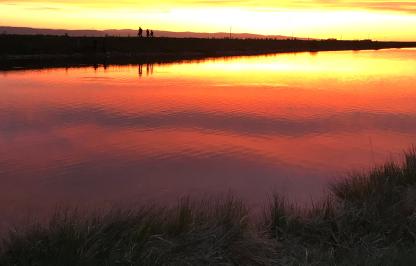 Leazenby Lake Public access area at sunset.