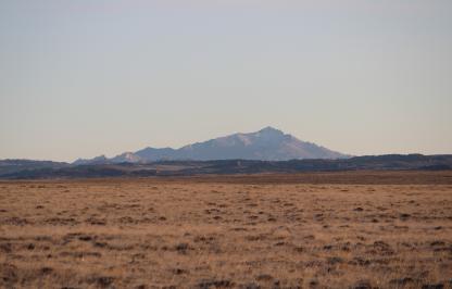 Shield on formal blue