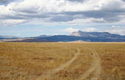 A photo of tire tracks left behind in bighorn sheep winter range within the Whiskey Basin Wildlife Habitat Management area with mountain peaks off in the distance.