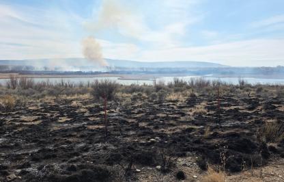 A photo of blackened brush and a smoke plume in the distance behind Kane Cemetery Pond on Yellowtail Wildlife Habitat Management Area. 