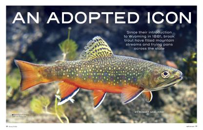 An Adopted Icon Cover Page for Magazine Feature