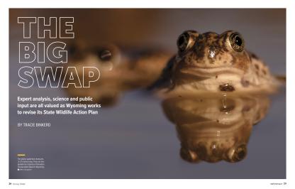 The big SWAP Magazine Feature Cover Page