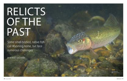 "Relicts of the past" Wyoming Wildlife Magazine feature cover page