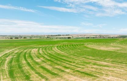 2026 Cody Region Landowner of the Year Landscape
