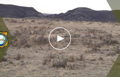 Drought & Wildlife Video Thumbnail