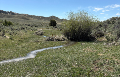 beaver dam analog on constructed in 2026