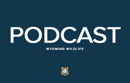 Wyoming Wildlife Podcast Graphic