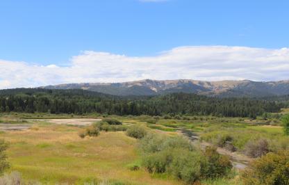 Salt River/Alpine Wetlands area