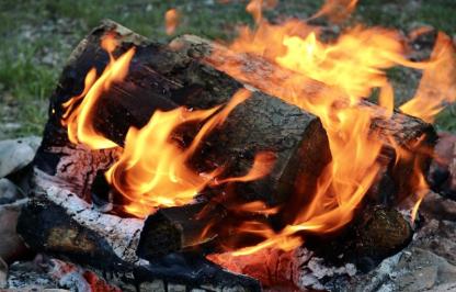 Tree logs in the fire