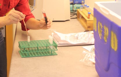 Brucellosis sampling