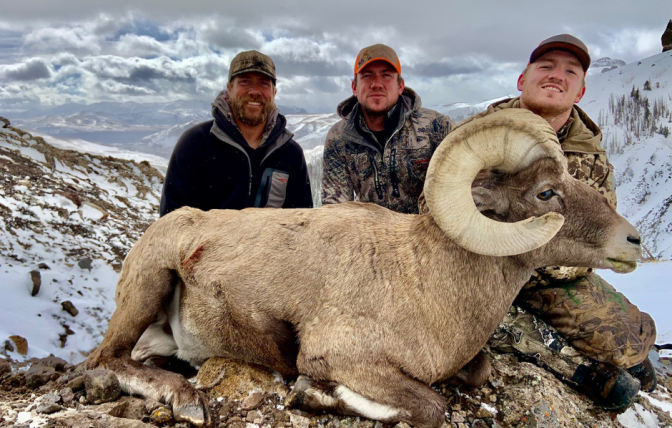 2020 Super Tag Trifecta winner with harvested bighorn sheep