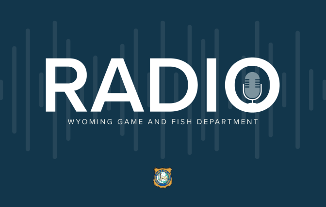 Game and Fish Radio Thumbnail